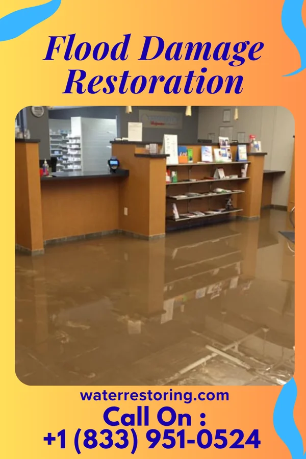 Flood Damage Restoration in Gaston, SC