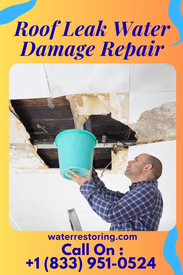 Roof Leak Water Damage Repair in Gaston, SC