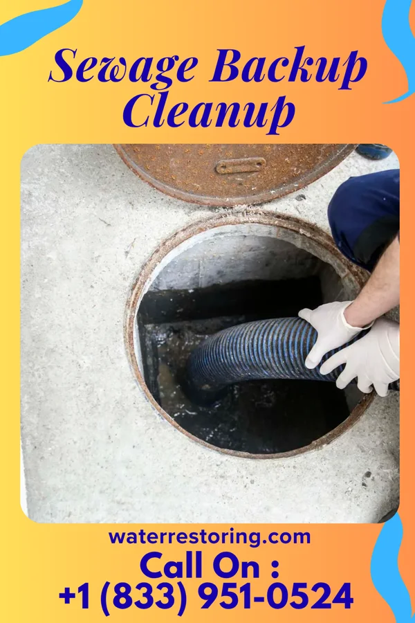 Sewage Backup Cleanup in Gaston, SC